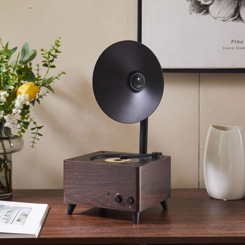 Gramophone Moderne Compact - Bluetooth - Bois fonce | Kaddanse