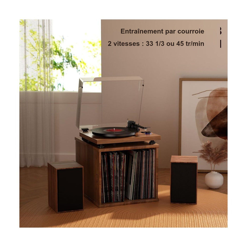 Platine Vinyle Avec Enceinte Vintage — vue 8 | Kaddanse